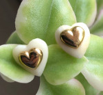 14K Carved HEART Earrings
