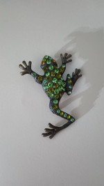 Beautiful Frog brooch/pin