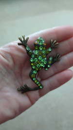 Beautiful Frog brooch/pin