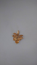 Never Worn - Charmelle Brooch