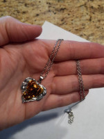 New Gold Filled Heart Necklace with Feathers Surrounding a Dog