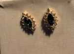 Blue and White Rhinestones Earrings