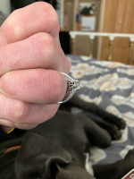 Wedding/Engagement Ring