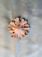 925 sterling Tiffany brooch
