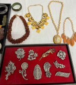 Jewelry Bakelite & Brooches