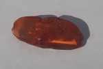 Amber Pin