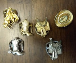 Western Slide Clip Pins/ Set of 6