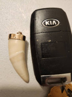 Unique jaguar tooth with 10 k gold