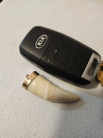 Unique jaguar tooth with 10 k gold