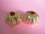 14K Gold Earrings retro natural Ocean shell design gorgeous
