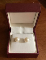 New Pearl Earrings