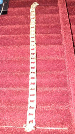 Sterling silver bracelet 8inch 24 + grams