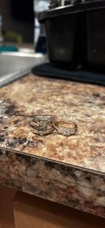 Rose gold and diamond engagement ring set