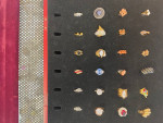 Bundle of 24 Rings, Size 6
