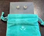 Brilliant Earth Silver Magnolia Diamond Earrings (2) and Necklace