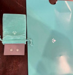 Brilliant Earth Silver Magnolia Diamond Earrings (2) and Necklace