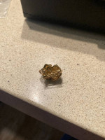 Frog converter brooch/pendant 18K