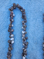 2 Seashell Necklases