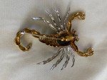 Scorpion Pin in 18k yellow gold, white gold, diamonds, ruby