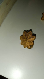 Major oak leaf cluster