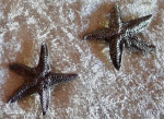 STARFISH: Brooches. Pewter. By Metzke. Fine Condition $20 for Both