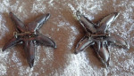 STARFISH: Brooches. Pewter. By Metzke. Fine Condition $20 for Both