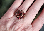 Garnet Ring and Bonus