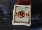Garnet Ring and Bonus