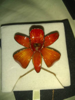 Real ORCHID Necklace / Brooch  24kt PLATED