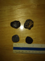 Rough Idaho Garnets (Emerald Creek Star Garnets) 285g / 10+oz