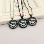 SEAHAWKS Glass Cabochon Pendant / Necklace (Superman design)