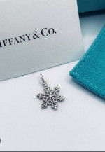 Tiffanys snowflake necklace
