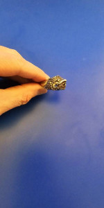 Solid Silver "Garuda" Unisex Ring