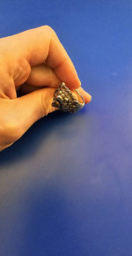 Solid Silver "Garuda" Unisex Ring