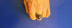Solid Silver "Garuda" Unisex Ring