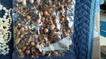 COSTUME JEWELRY***