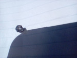 Light blue fancy Diamond w/grey 1/3c