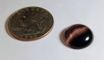 Gems and Jewels Collection for Jewelers and Hobbyists