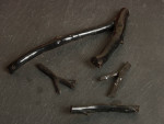 Black Coral $1 gm