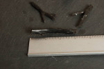 Black Coral $1 gm