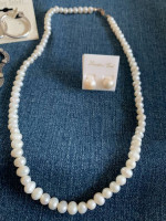 Mother of Pearl Earrings and other Jewlery