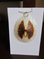 LIMPET SHELL PENDANT