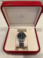 Omega Seamaster Professional 300m