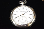 Hampden Springfield Year-1878 PW