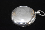 Hampden Springfield Year-1878 PW
