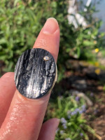 Jamie Joseph ring