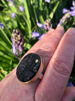 Jamie Joseph ring