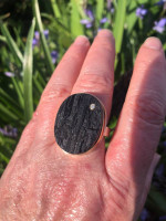 Jamie Joseph ring