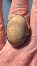 Jamie Joseph Ring