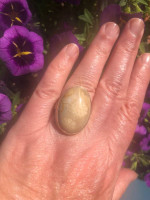 Jamie Joseph Ring